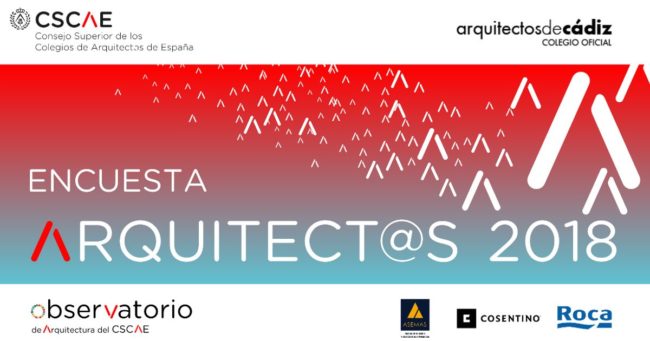 Imagen_encuesta_CSCAE