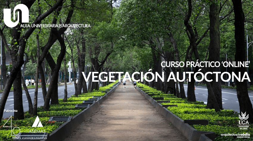 Circular Formación nº 1/24